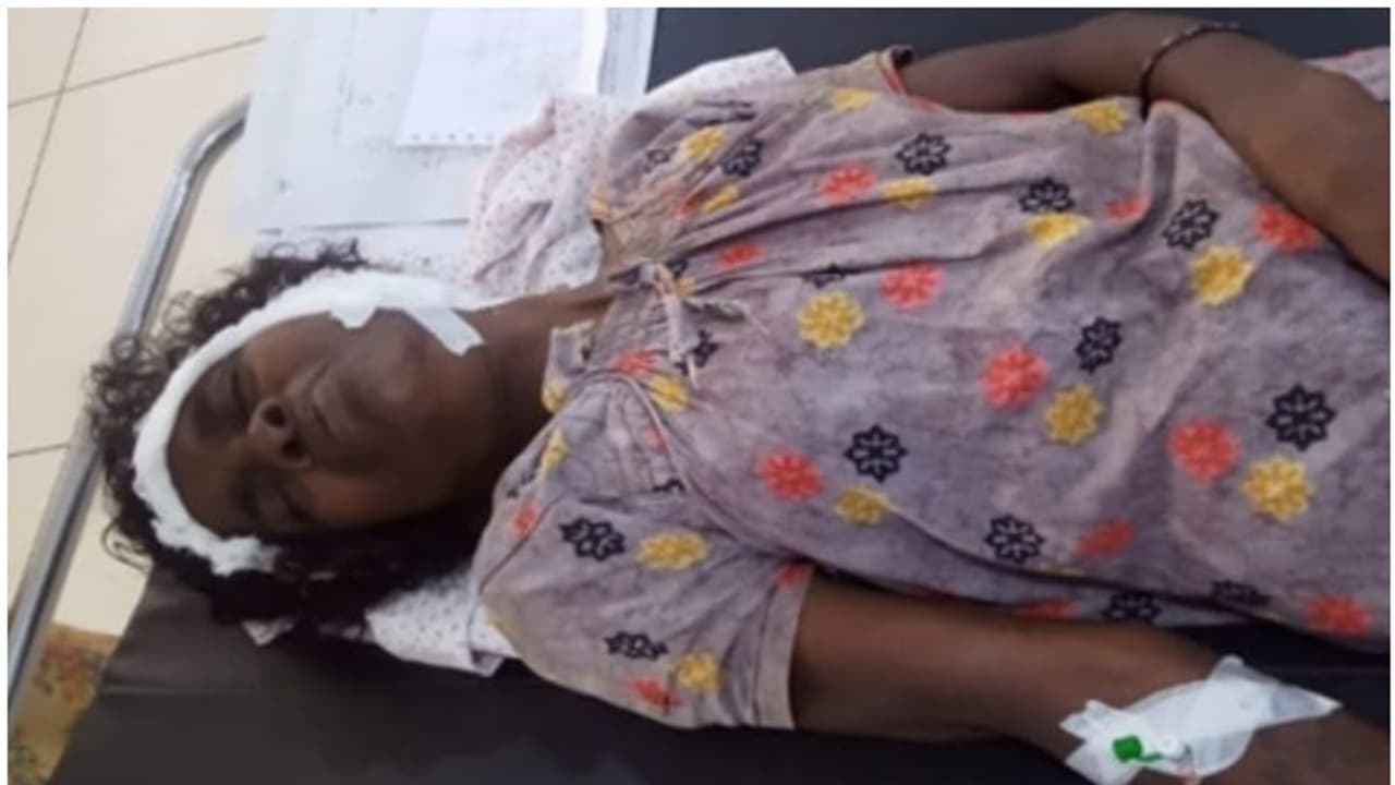 പശുവിന് വെള്ളം കൊടുക്കാൻ പോയപ്പോള് അപ്രതീക്ഷിത വരവ്; കാട്ടാന ആക്രമണത്തില് വയോധികയ്ക്ക് പരിക്ക് പശുവിന് വെള്ളം കൊടുക്കാൻ പോയപ്പോള് അപ്രതീക്ഷിത വരവ്; കാട്ടാന ആക്രമണത്തില് വയോധികയ്ക്ക് പരിക്ക്