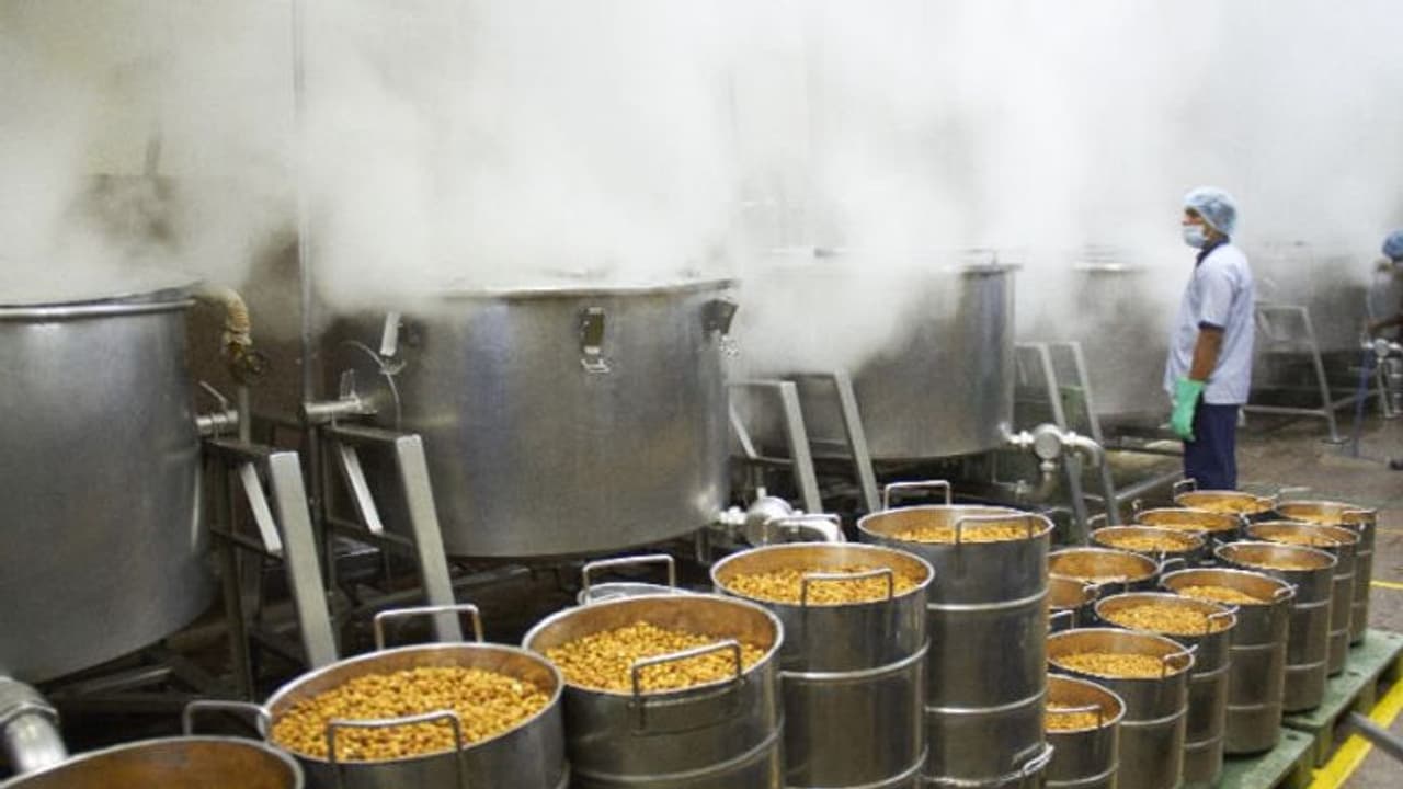 Jharkhand: New mega kitchen in Ramgarh will feed 50,000 school children Jharkhand: New mega kitchen in Ramgarh will feed 50,000 school children