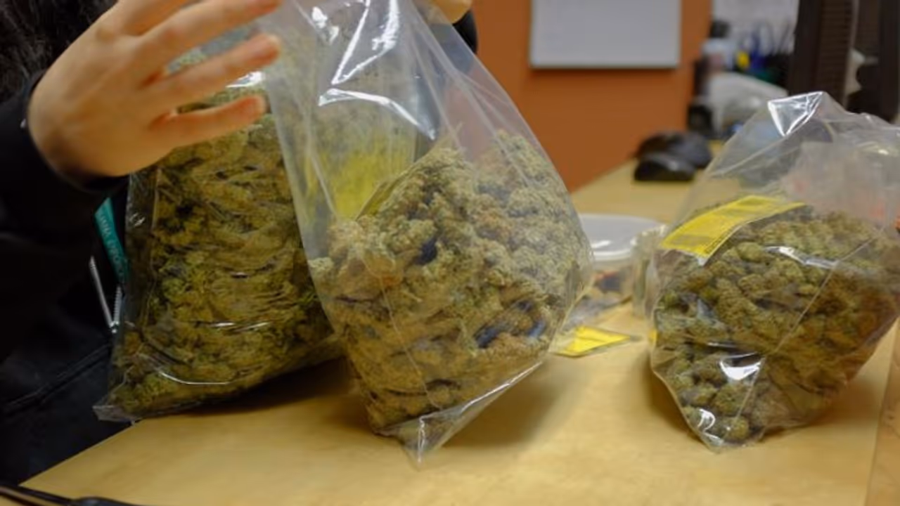 8 arrested in Bengaluru for involvement in ₹1.8 crore fraud linked to illicit Marijuana parcel scam