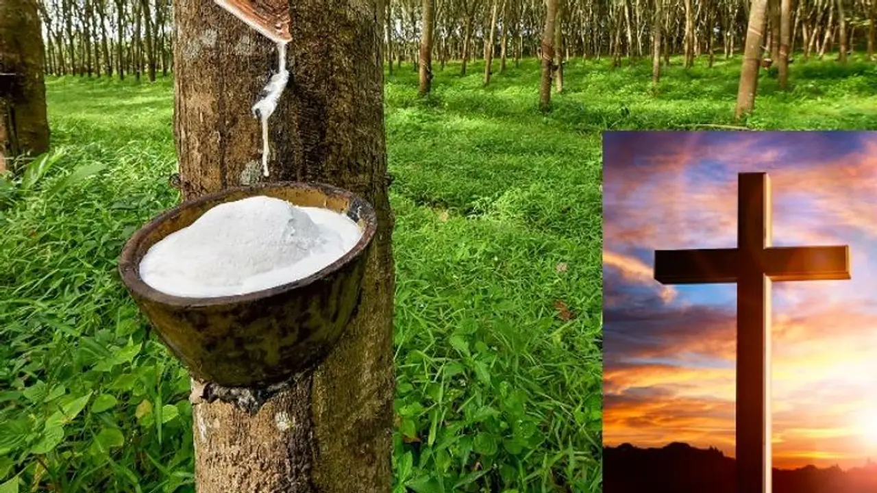 ರಬ್ಬರ್‌ ಧಾರಣೆ ಹೆಚ್ಚಿಸಿದರೆ ಬೆಂಬಲ: ಬಿಜೆಪಿ ಬೆಂಬಲಿಸಲು ಕೇರಳ ಚರ್ಚ್‌ ಷರತ್ತು