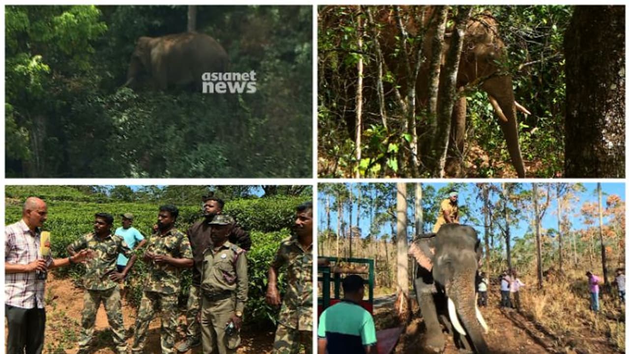 അരിക്കൊമ്പന് മിഷന്; ആള്ക്കൂട്ടം കുങ്കിയാനകളെ പ്രകോപിപ്പിക്കുന്നുവെന്ന് മന്ത്രി, താവളം മാറ്റും അരിക്കൊമ്പന് മിഷന്; ആള്ക്കൂട്ടം കുങ്കിയാനകളെ പ്രകോപിപ്പിക്കുന്നുവെന്ന് മന്ത്രി, താവളം മാറ്റും