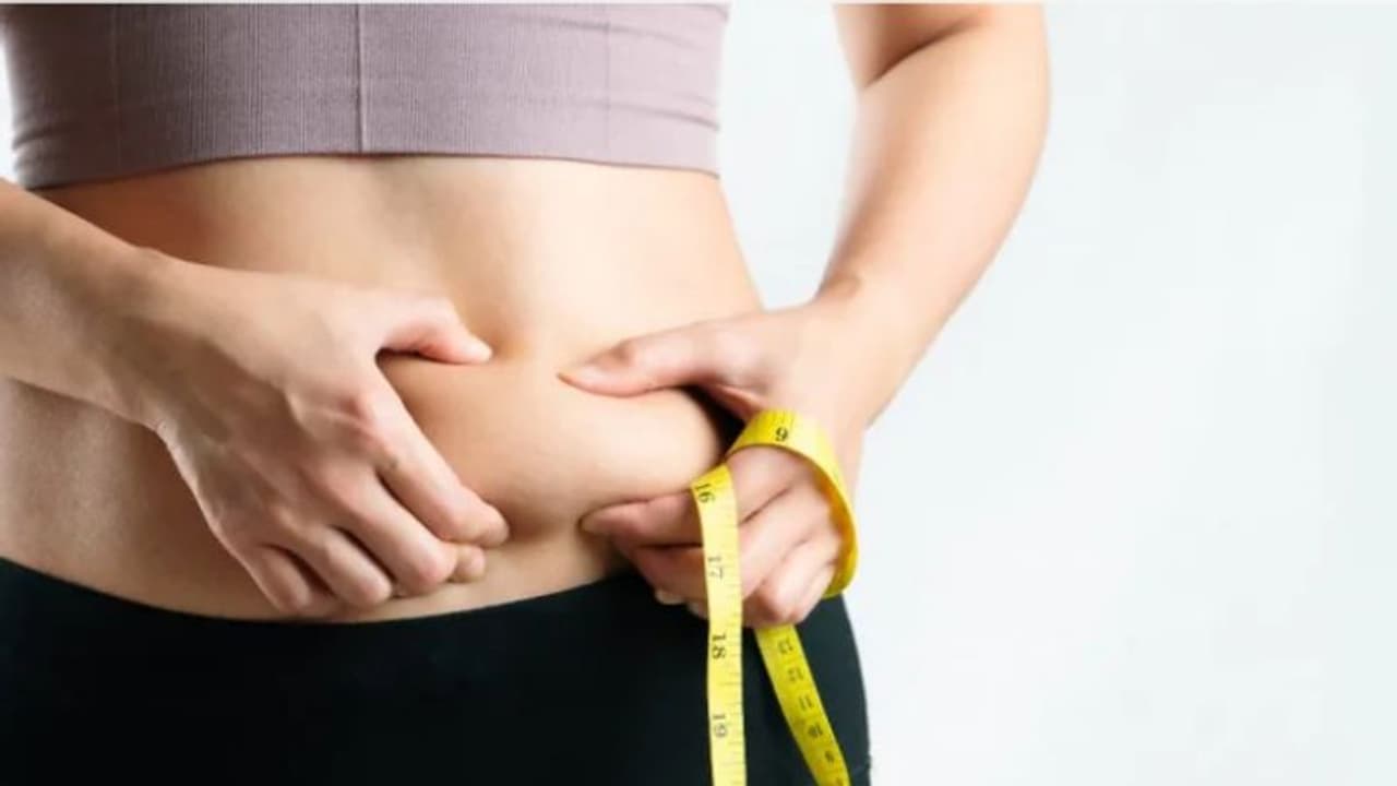 അടിവയറ്റിലെ കൊഴുപ്പ് കുറയ്ക്കണോ? ഈ വ്യായാമങ്ങൾ പതിവാക്കൂ