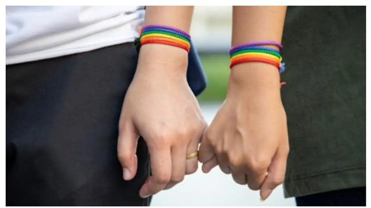 സ്വവർഗ വിവാഹത്തോടുള്ള എതിർപ്പ് തുടരാൻ ബിജെപി, എൻഡിഎ ഭരിക്കുന്ന സംസ്ഥാനങ്ങൾ എതിർത്ത് റിപ്പോർട്ട് നൽകും