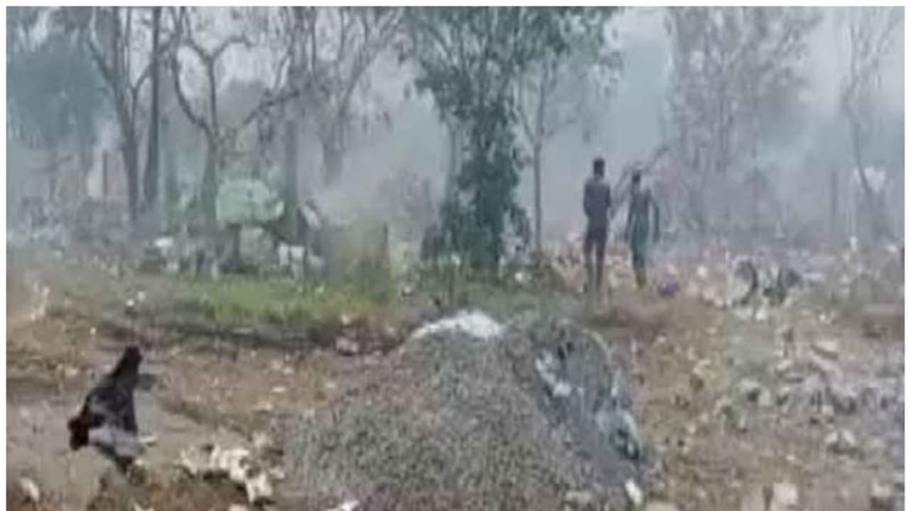 കാഞ്ചീപുരത്ത് പടക്കശാലയിൽ സ്ഫോടനം; 8 പേർ മരിച്ചു, 15 ലധികം പേർക്ക് പൊള്ളലേറ്റു കാഞ്ചീപുരത്ത് പടക്കശാലയിൽ സ്ഫോടനം; 8 പേർ മരിച്ചു, 15 ലധികം പേർക്ക് പൊള്ളലേറ്റു