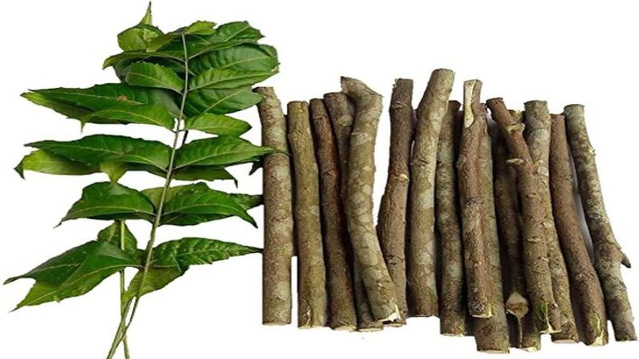 எதிரிகளின் பார்வையில் இருந்து தப்பித்து,அவர்களின் சூழ்ச்சி வலையில் சிக்காமல் இருக்க இந்த பரிகாரத்தை பண்ணுங்க! எதிரிகளின் பார்வையில் இருந்து தப்பித்து,அவர்களின் சூழ்ச்சி வலையில் சிக்காமல் இருக்க இந்த பரிகாரத்தை பண்ணுங்க!