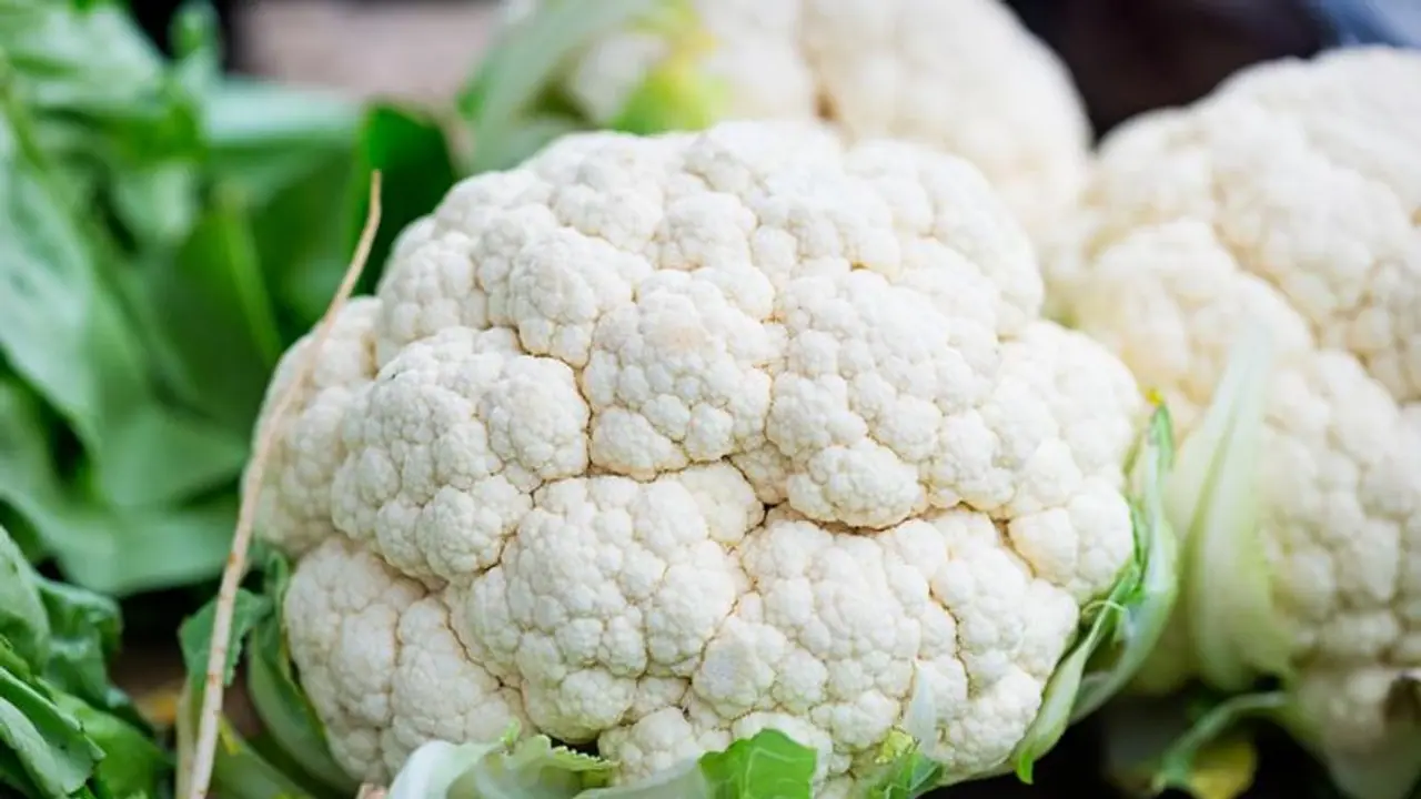 കോളിഫ്ലവര് ഇഷ്ടപ്പെടുന്നവരാണോ? എങ്കിൽ ഇത് കൂടി അറിഞ്ഞോളൂ കോളിഫ്ലവര് ഇഷ്ടപ്പെടുന്നവരാണോ? എങ്കിൽ ഇത് കൂടി അറിഞ്ഞോളൂ