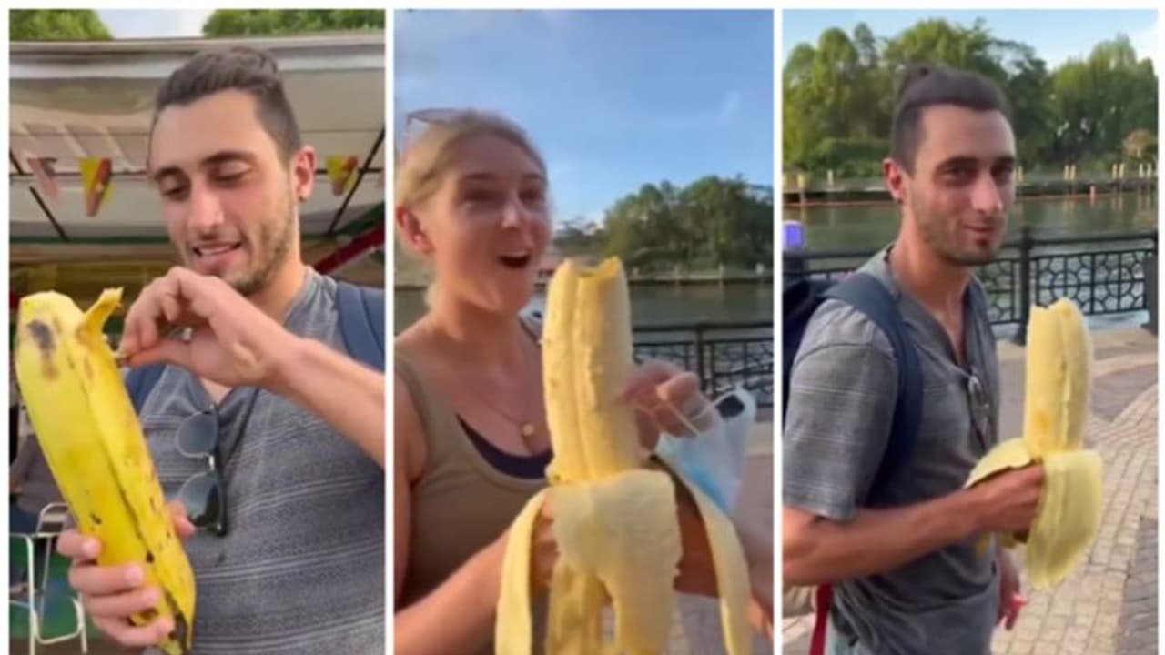 കൊന്നത്തെങ്ങ് പോലൊരു വാഴ; ഒരു വാഴപ്പഴത്തിന് 3 കിലോ തൂക്കം; ട്വിറ്ററില്‍ വൈറലായി ഒരു വീഡിയോ !