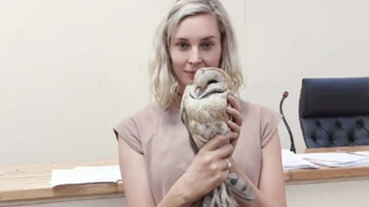 കൊലക്കുറ്റത്തിന്‍റെ വിചാരണ നടക്കുന്നതിനിടെ കോടതി മുറിയിലേക്ക് നാടകീയമായ ഒരു 'എൻട്രി'