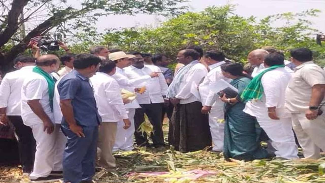 భద్రాచలం ఆలయానికి కోటి:పంట నష్టం పరిహారం పంపిణీకి కేసీఆర్ ఆదేశాలు భద్రాచలం ఆలయానికి కోటి:పంట నష్టం పరిహారం పంపిణీకి కేసీఆర్ ఆదేశాలు