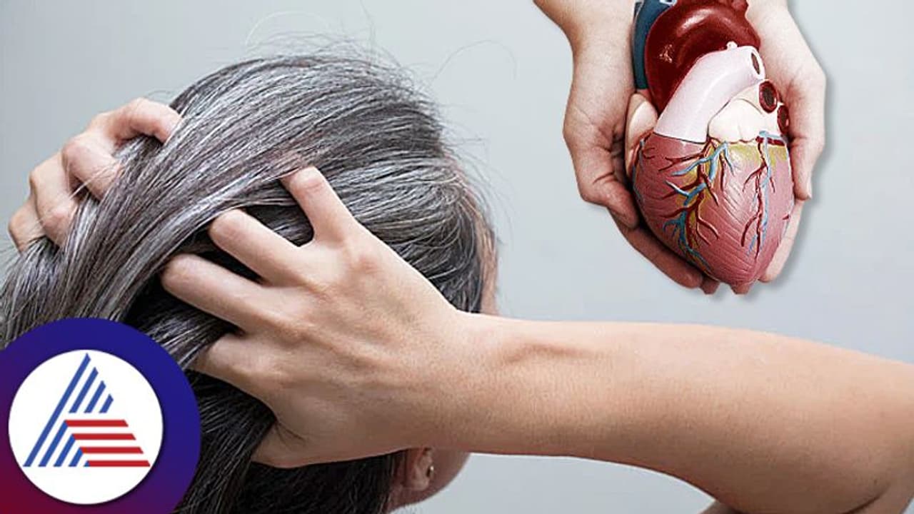 ವಯಸ್ಸಾಗೋ ಮೊದ್ಲೇ ಕೂದಲು ಬೆಳ್ಳಗಾದ್ರೆ, ಹೃದಯ ಸಂಬಂಧಿ ಕಾಯಿಲೆಯ ಮುನ್ಸೂಚನೆನಾ? ವಯಸ್ಸಾಗೋ ಮೊದ್ಲೇ ಕೂದಲು ಬೆಳ್ಳಗಾದ್ರೆ, ಹೃದಯ ಸಂಬಂಧಿ ಕಾಯಿಲೆಯ ಮುನ್ಸೂಚನೆನಾ?