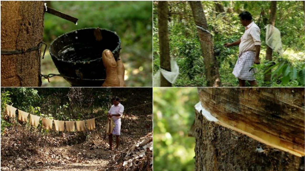 റബർ സബ്സിഡി 180 രുപയാക്കി,സംസ്ഥാന ബജറ്റിലെ പ്രഖ്യാപനം നടപ്പാക്കിയെന്ന് ധനമന്ത്രി കെ.എന്.ബാലഗോപാല് റബർ സബ്സിഡി 180 രുപയാക്കി,സംസ്ഥാന ബജറ്റിലെ പ്രഖ്യാപനം നടപ്പാക്കിയെന്ന് ധനമന്ത്രി കെ.എന്.ബാലഗോപാല്