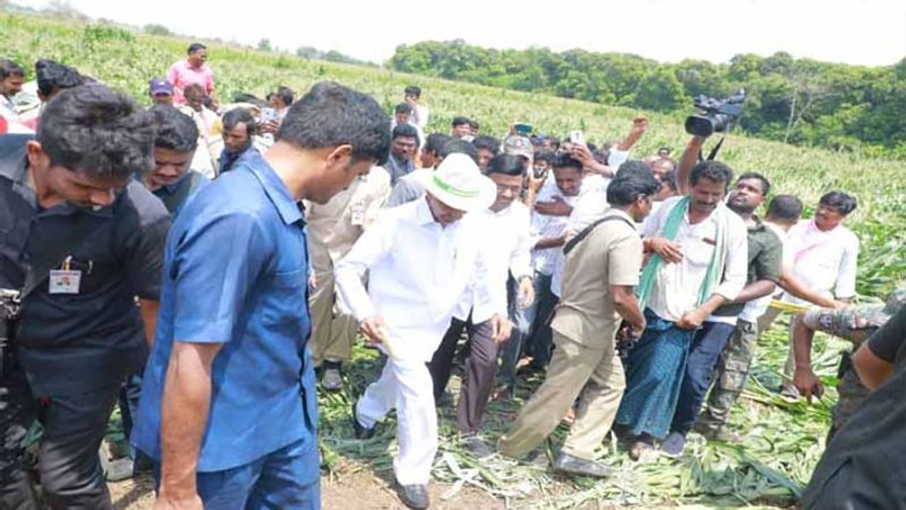 నిరాశ వద్దు, ఆదుకొంటాం: రైతులకు కేసీఆర్ హామీ నిరాశ వద్దు, ఆదుకొంటాం: రైతులకు కేసీఆర్ హామీ