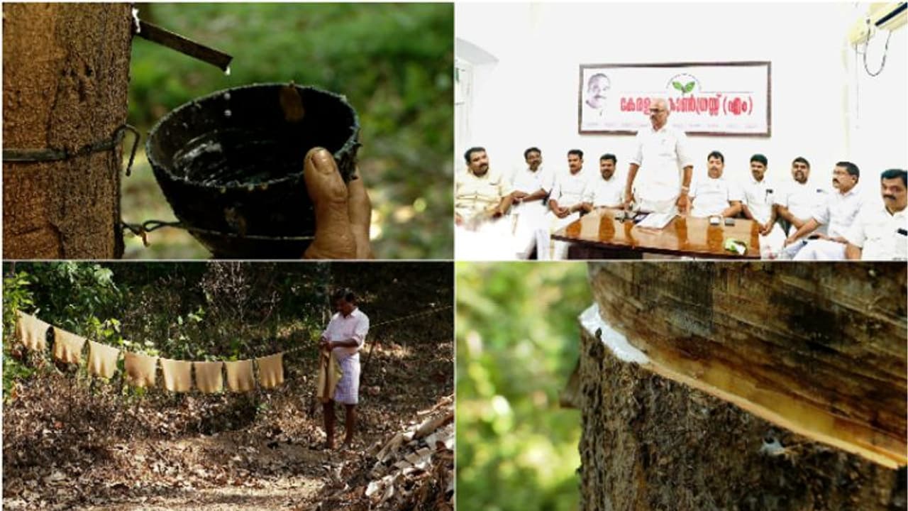 'റബർ വില രാഷ്ട്രീയം കൊഴുക്കുന്നു,വില സ്ഥിരതാ പദ്ധതിയെ കെഎം മാണി പദ്ധതിയെന്ന് പുനർനാമകരണം ചെയ്യണമെന്നാവശ്യം 'റബർ വില രാഷ്ട്രീയം കൊഴുക്കുന്നു,വില സ്ഥിരതാ പദ്ധതിയെ കെഎം മാണി പദ്ധതിയെന്ന് പുനർനാമകരണം ചെയ്യണമെന്നാവശ്യം