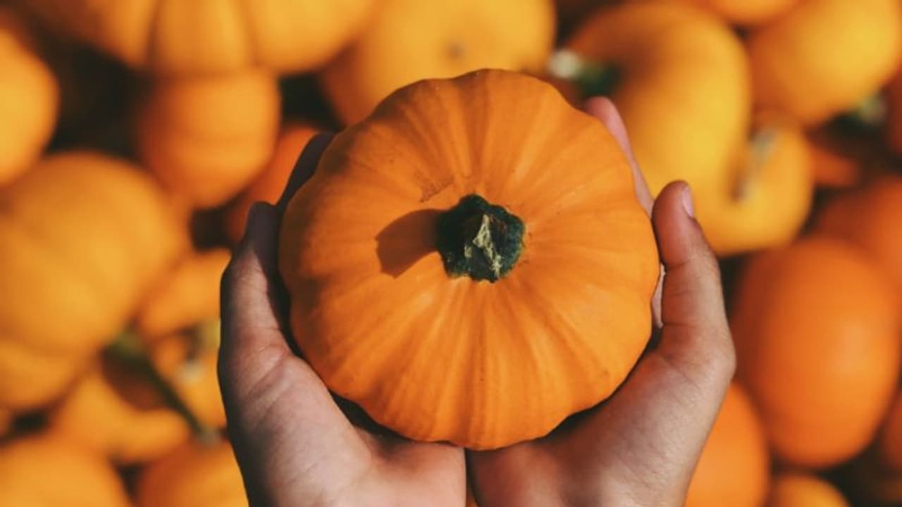ചര്‍മ്മം തിളങ്ങാന്‍ പരീക്ഷിക്കാം മത്തങ്ങ കൊണ്ടുള്ള ഈ ഫേസ് പാക്കുകള്‍...
