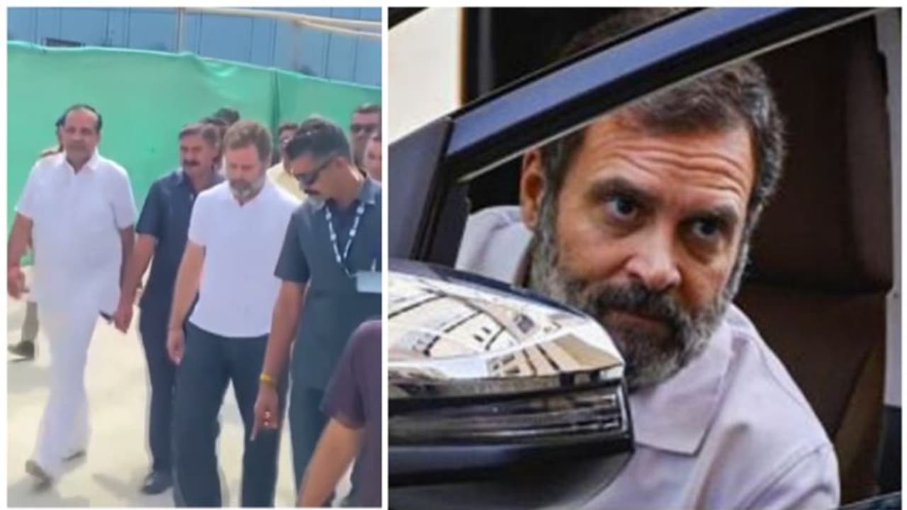 രാഹുൽ ഗാന്ധി ദില്ലിയിൽ, വിമാനത്താവളത്തിൽ വൻ സ്വീകരണവുമായി കോൺഗ്രസ് നേതാക്കളുടെയും പ്രവർത്തകരും രാഹുൽ ഗാന്ധി ദില്ലിയിൽ, വിമാനത്താവളത്തിൽ വൻ സ്വീകരണവുമായി കോൺഗ്രസ് നേതാക്കളുടെയും പ്രവർത്തകരും