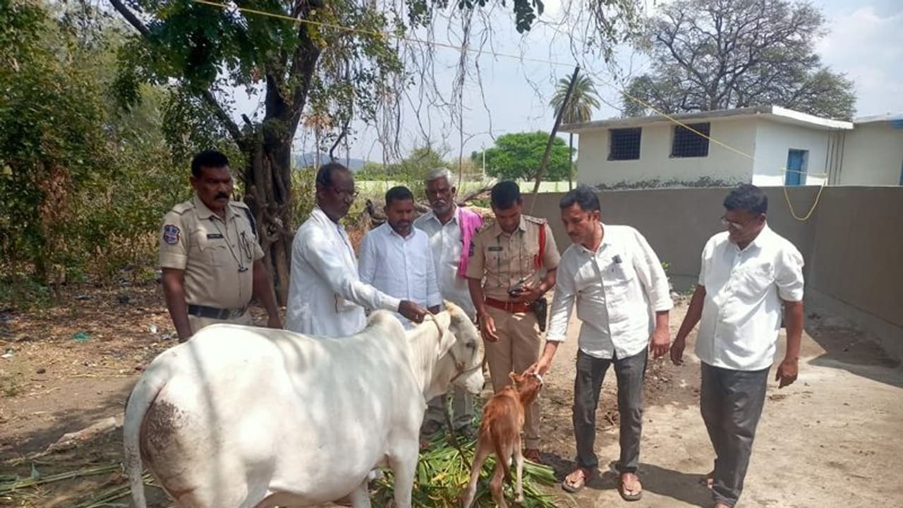 పసికందు ఆకలి తీర్చిన మంత్రి హరీశ్.. పాల కొరత తీర్చడానికి ఆవునే కొనిచ్చిన మంత్రి పసికందు ఆకలి తీర్చిన మంత్రి హరీశ్.. పాల కొరత తీర్చడానికి ఆవునే కొనిచ్చిన మంత్రి