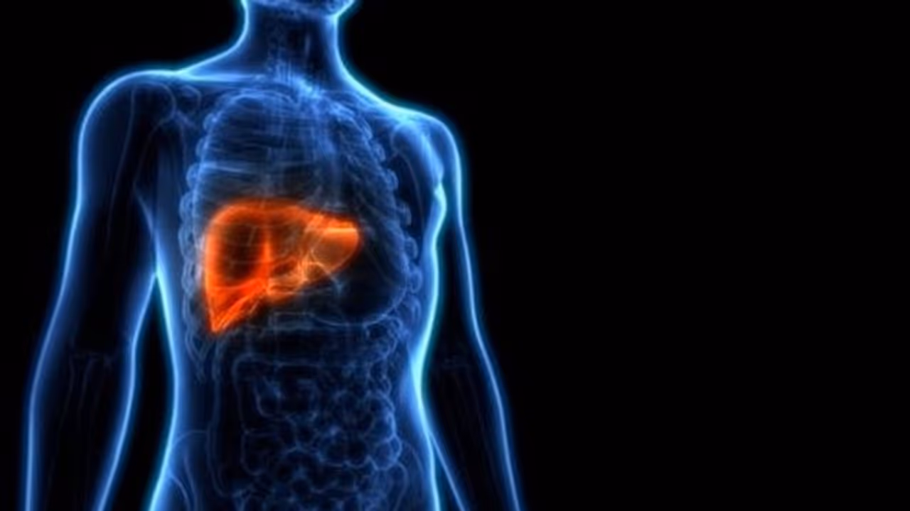World Liver Day 2023 : ആറ് കാരണങ്ങൾ കരൾ രോഗം ഉണ്ടാകാനുള്ള സാധ്യത വർദ്ധിപ്പിക്കുന്നു World Liver Day 2023 : ആറ് കാരണങ്ങൾ കരൾ രോഗം ഉണ്ടാകാനുള്ള സാധ്യത വർദ്ധിപ്പിക്കുന്നു