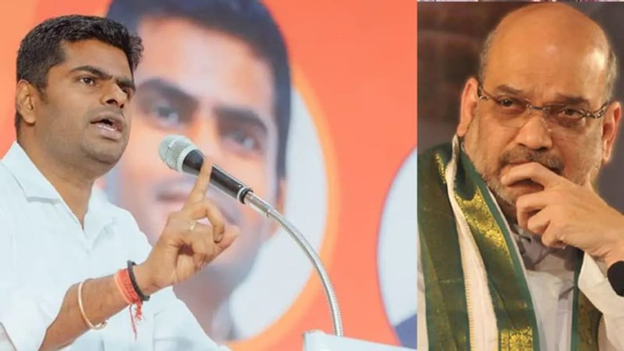 அதிமுகவுடனான கூட்டணியை முறித்துக் கொள்ளலாம்? அண்ணாமலை அமித்ஷாவிடம் கூறினாரா? அவரே சொன்ன தகவல்..!