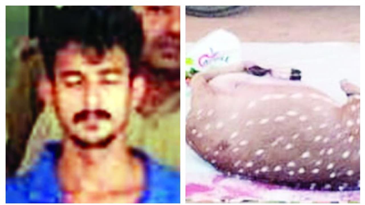 പുള്ളിമാന് വേട്ട: മലപ്പുറത്ത് ഒരാള് അറസ്റ്റില് പുള്ളിമാന് വേട്ട: മലപ്പുറത്ത് ഒരാള് അറസ്റ്റില്