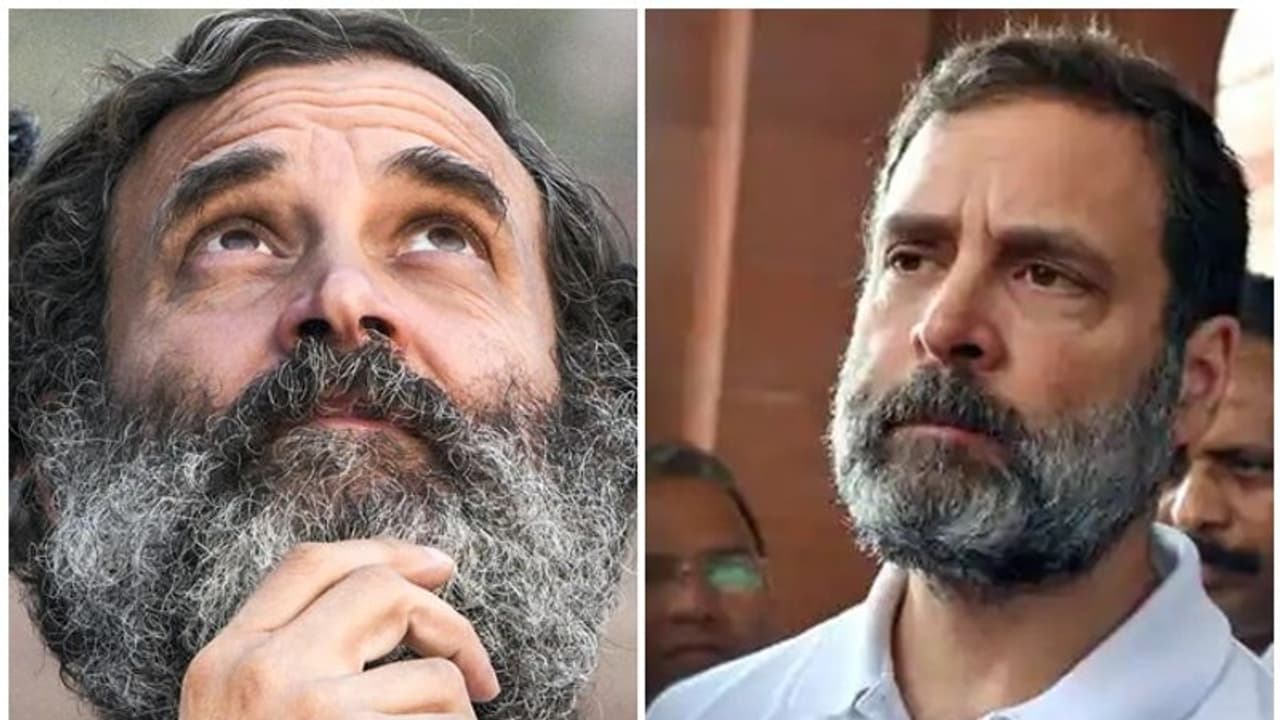Rahul Gandhi ಪಾಲಿಗೆ ಆರಂಭ ಮಾತ್ರ, ಮಾಜಿ ಸಂಸದನ ಮೇಲಿದೆ ಇನ್ನೂ ನಾಲ್ಕು ಮಾನಹಾನಿ ಕೇಸ್‌!