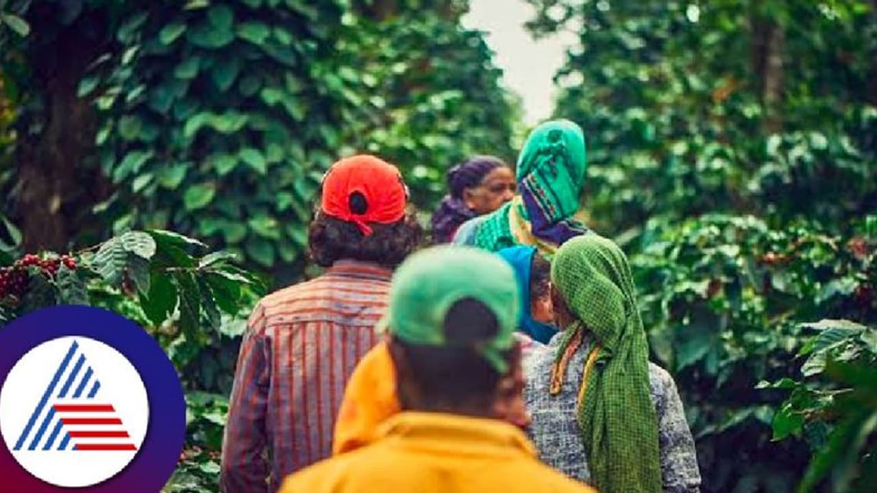 ಕೊಡಗು: ಬಾಂಗ್ಲಾ ಕಾರ್ಮಿಕರಿಂದ ಕೊಡಗಿನ ಅಸ್ತಿತ್ವಕ್ಕೆ ಧಕ್ಕೆ: ರಘು ಹೆಬ್ಬಾಲೆ 