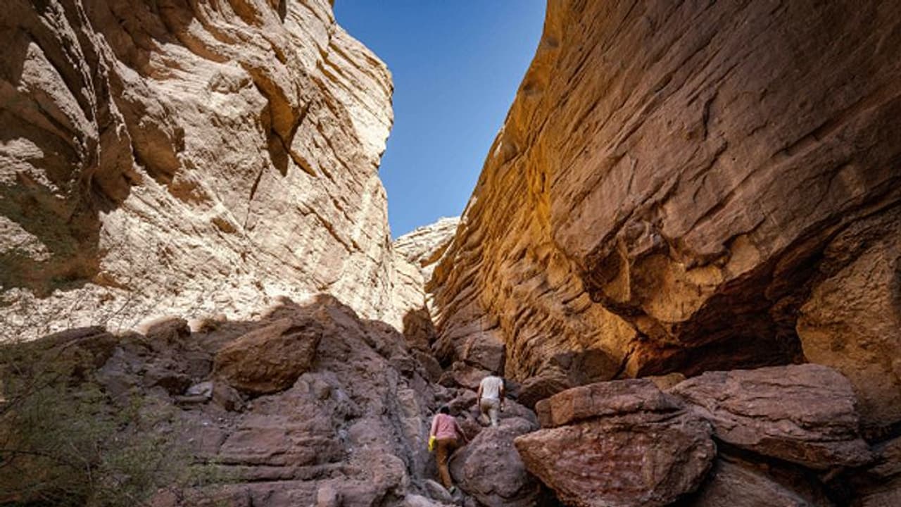 സൗദി അറേബ്യയില് 7,000 വർഷം പഴക്കമുള്ള സ്മാരകത്തിൽ മനുഷ്യനെ അടക്കം ചെയ്തിരുന്നെന്ന് പുരാവസ്തു ഗവേഷകർ സൗദി അറേബ്യയില് 7,000 വർഷം പഴക്കമുള്ള സ്മാരകത്തിൽ മനുഷ്യനെ അടക്കം ചെയ്തിരുന്നെന്ന് പുരാവസ്തു ഗവേഷകർ