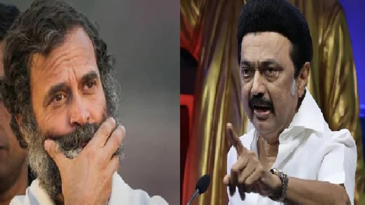 ராகுல் காந்தியின் பதவி பறிக்கப்பட்ட விவகாரம்... முதல்வர் மு.க.ஸ்டாலின் கண்டனம்!! ராகுல் காந்தியின் பதவி பறிக்கப்பட்ட விவகாரம்... முதல்வர் மு.க.ஸ்டாலின் கண்டனம்!!