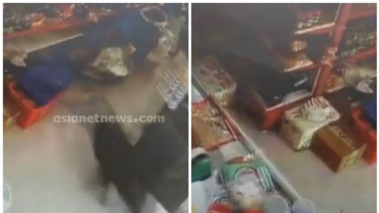 സൂപ്പർമാർക്കറ്റിൽ കാട്ടുപന്നി ഓടിക്കയറി; 2 ജീവനക്കാർക്ക് പരിക്ക്, സാധനങ്ങൾക്ക് നാശനഷ്ടം; സംഭവം പയ്യന്നൂരിൽ