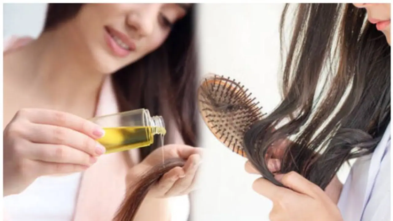 கோடை காலத்தில் உங்கள் கூந்தல் பாதிக்குதா? அப்போ இந்த 5 விதமான எண்ணெய் பயன்படுத்துங்க..!! கோடை காலத்தில் உங்கள் கூந்தல் பாதிக்குதா? அப்போ இந்த 5 விதமான எண்ணெய் பயன்படுத்துங்க..!!