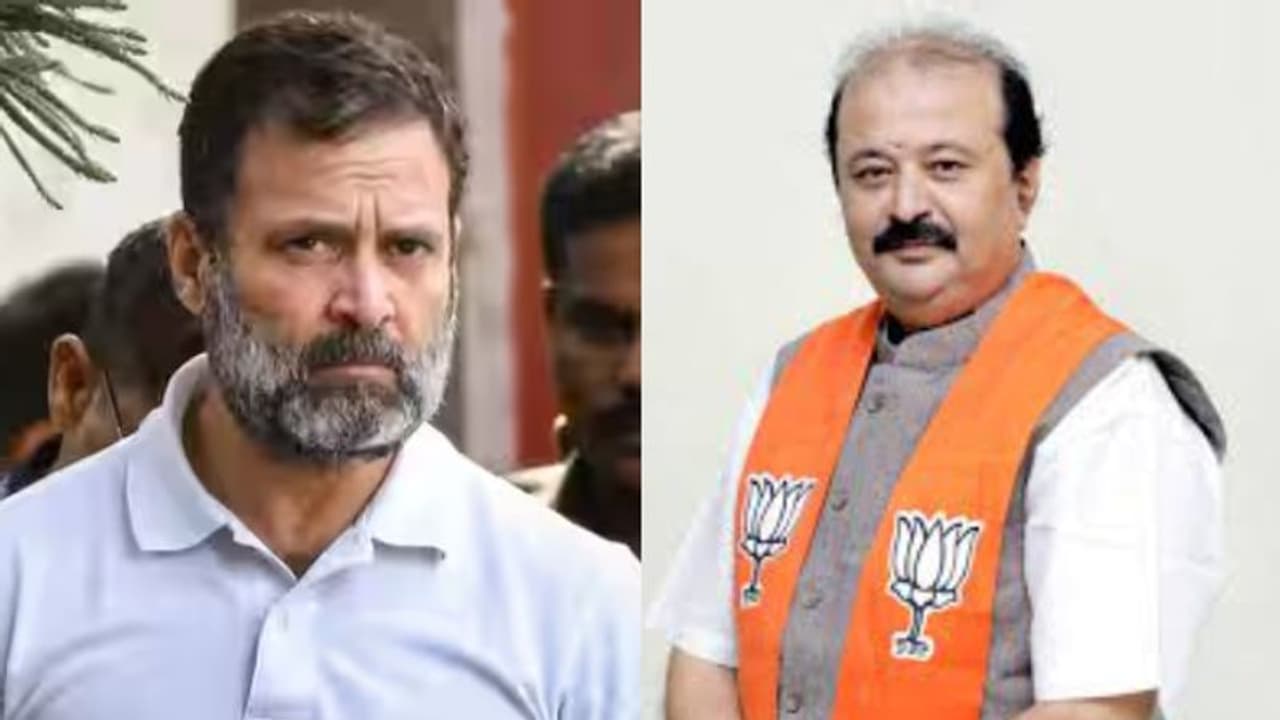 ചായ കച്ചവടത്തില് നിന്ന് നിയമ ബിരുദധാരിയായ എംഎല്എ പദവിയിലേക്ക്, രാഹുലിനെ അയോഗ്യനാക്കിയ 'മോദി' ഇതാണ് ചായ കച്ചവടത്തില് നിന്ന് നിയമ ബിരുദധാരിയായ എംഎല്എ പദവിയിലേക്ക്, രാഹുലിനെ അയോഗ്യനാക്കിയ 'മോദി' ഇതാണ്