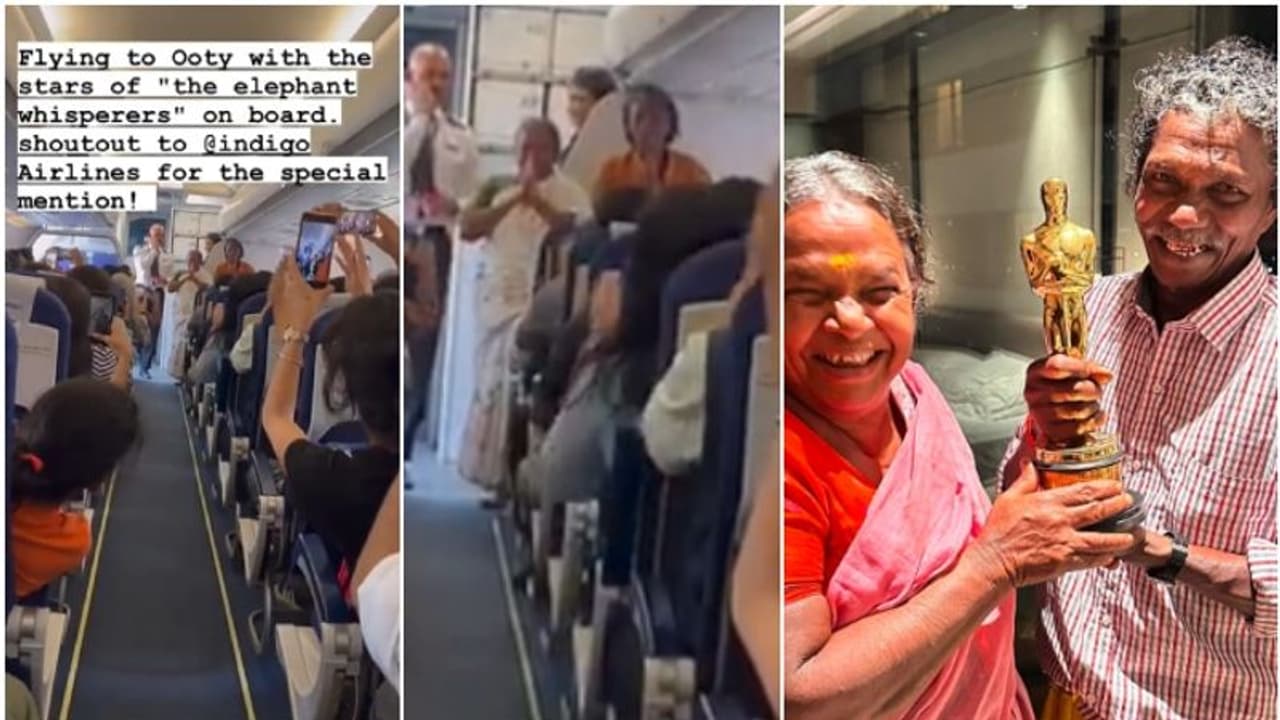 'ಎಲಿಫೆಂಟ್ ವಿಸ್ಪರರ್ಸ್' ಬೊಮ್ಮನ್ ಬೆಳ್ಳಿ ದಂಪತಿಗೆ ವಿಮಾನದಲ್ಲಿ ವಿಶೇಷ ಗೌರವ; ವಿಡಿಯೋ ವೈರಲ್ 
