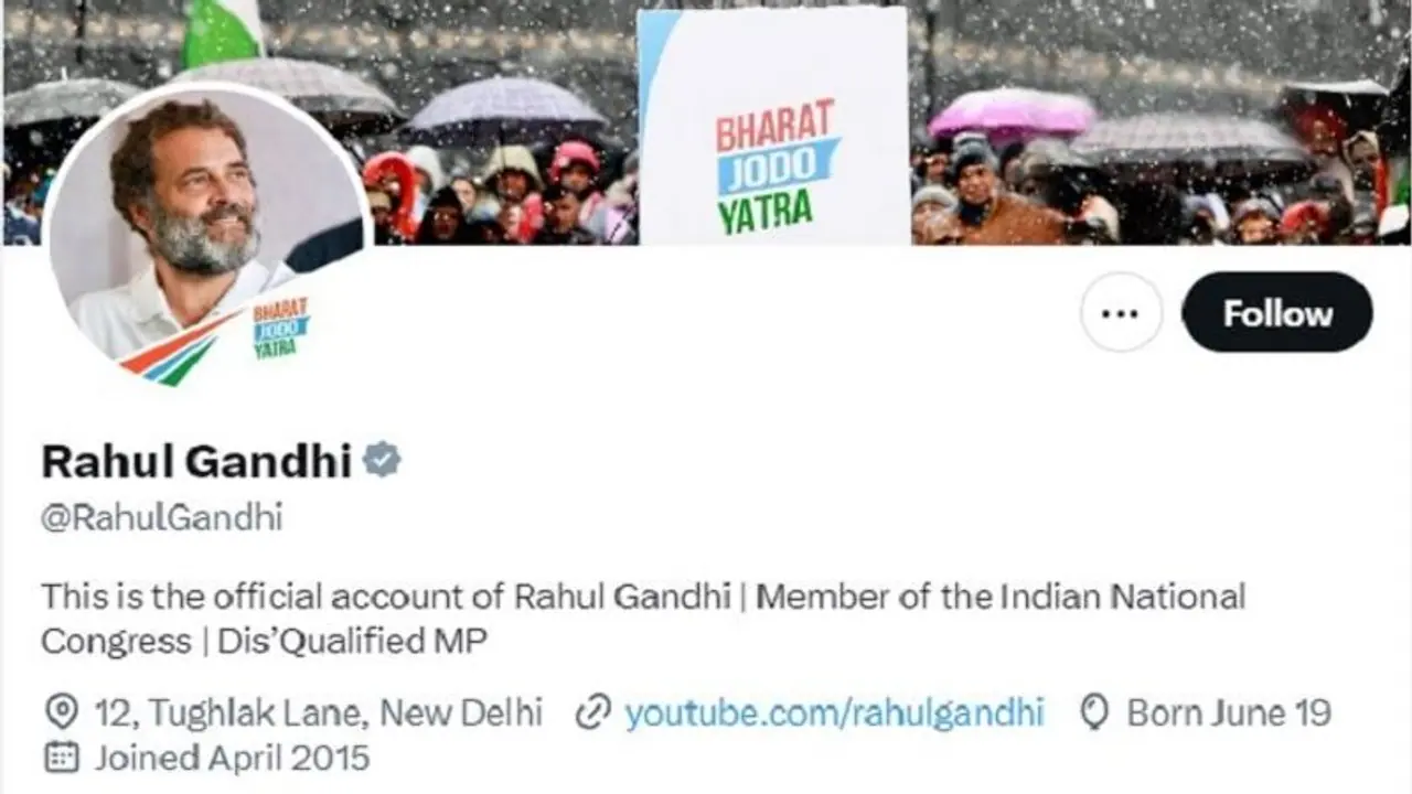ಅನರ್ಹ ಸಂಸದ ಎಂದು ಟ್ವಿಟ್ಟರ್‌ ಪ್ರೊಫೈಲ್‌ನಲ್ಲಿ ಬರೆದುಕೊಂಡ 'ಕೈ' ನಾಯಕ ರಾಹುಲ್‌ ಗಾಂಧಿ 