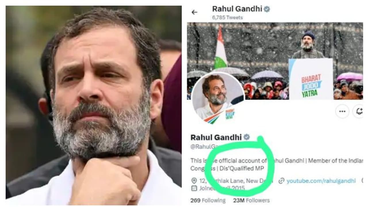 അയോഗ്യനായ എംപി; ട്വിറ്ററിൽ ബയോ തിരുത്തി രാഹുൽഗാന്ധി അയോഗ്യനായ എംപി; ട്വിറ്ററിൽ ബയോ തിരുത്തി രാഹുൽഗാന്ധി