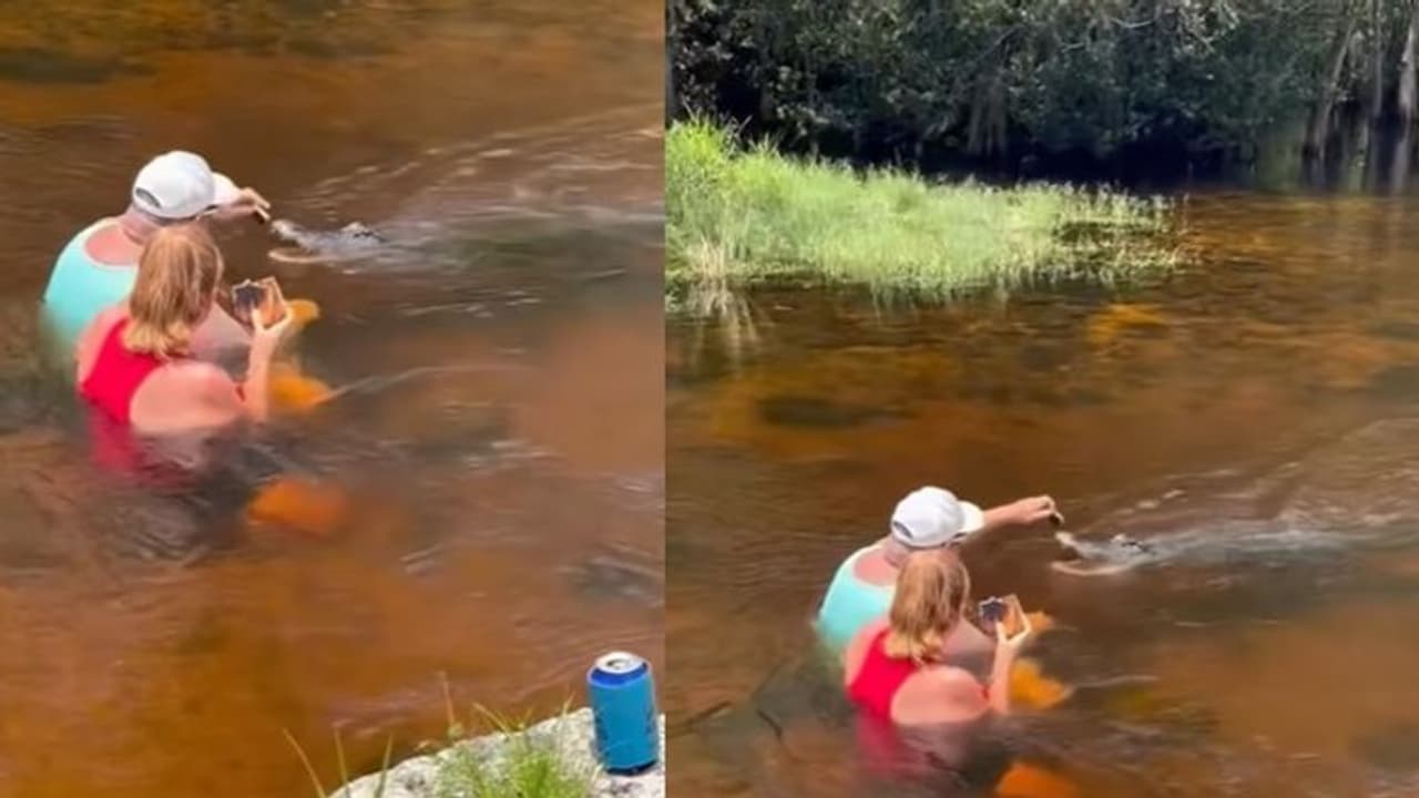 ಮೊಸಳೆಗೆ ಕೈಯಲ್ಲಿ ಆಹಾರ ತಿನ್ನಿಸಿದ ವ್ಯಕ್ತಿ: ಭಯಾನಕ ವಿಡಿಯೋ ವೈರಲ್‌