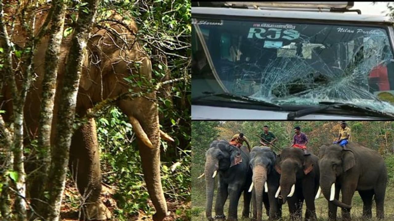 ജീപ്പ് തക‍ർത്ത് അരിക്കൊമ്പൻ ദൗത്യമേഖലയിലേക്ക് പ്രവേശിച്ചു: വഴിയടച്ച് തടയാൻ കുങ്കിയാനകൾ