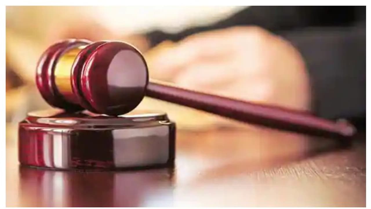 ഇന്ത്യൻ വംശജയായ അഞ്ചു വയസുകാരിയുടെ മരണം; അമേരിക്കയിൽ യുവാവിന് 100 വർഷം തടവുശിക്ഷ