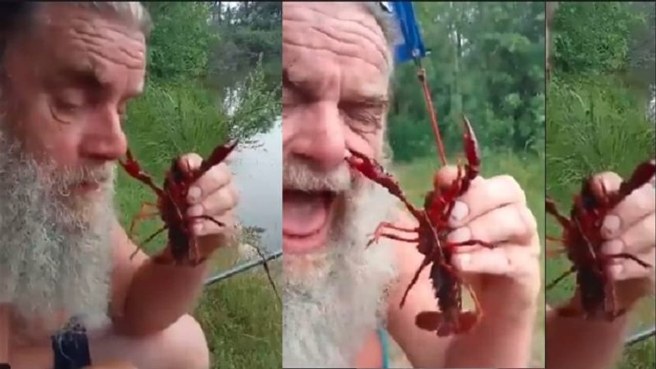 ಏಡಿಯ ಜೊತೆ ಆಟವಾಡಲು ಹೋದವನಿಗೆ ಏನಾಯ್ತು ನೋಡಿ ಏಡಿಯ ಜೊತೆ ಆಟವಾಡಲು ಹೋದವನಿಗೆ ಏನಾಯ್ತು ನೋಡಿ