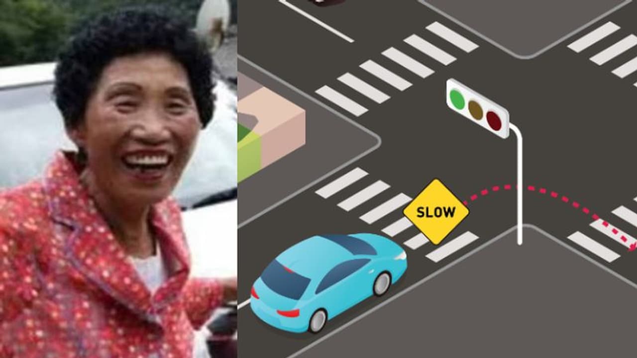 ചെലവായത് 11 ലക്ഷത്തിലധികം രൂപ, 960ാം ശ്രമത്തില്‍ ഡ്രൈവിംഗ് പരിശീലനം പൂര്‍ത്തിയാക്കി 69കാരി