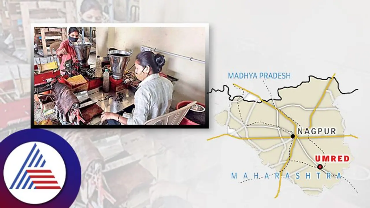 ದೇಶದ ಮೊದಲ ಅಗರಬತ್ತಿ ಪಾರ್ಕ್ ಗೆ ಮಹಿಳೆಯರೇ ಸಾರಥಿಗಳು; ಏನಿದರ ವಿಶೇಷತೆ? ಇಲ್ಲಿದೆ ಮಾಹಿತಿ