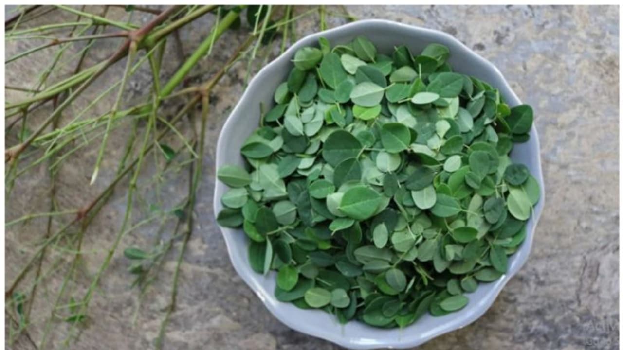 മുരിങ്ങയില കഴിച്ചാൽ ഈ രോഗങ്ങളെ അകറ്റി നിർത്താം മുരിങ്ങയില കഴിച്ചാൽ ഈ രോഗങ്ങളെ അകറ്റി നിർത്താം