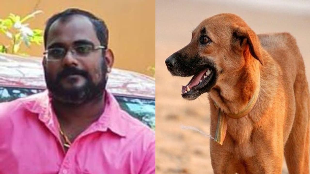 പരാതി അന്വേഷിക്കാനെത്തിയ എസ്ഐയെ പട്ടിയെ വിട്ട് കടിപ്പിക്കാന്‍ ശ്രമം; യുവാവ് അറസ്റ്റില്‍