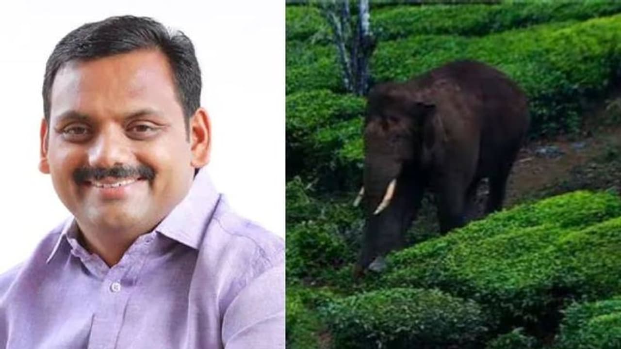 ജനങ്ങളുടെ ദുരിതം അറിയാത്ത അഭിനവ മൃഗസ്നേഹികൾ നാടിന് അപമാനമെന്ന് ഡീൻ കുര്യാക്കോസ് ജനങ്ങളുടെ ദുരിതം അറിയാത്ത അഭിനവ മൃഗസ്നേഹികൾ നാടിന് അപമാനമെന്ന് ഡീൻ കുര്യാക്കോസ്