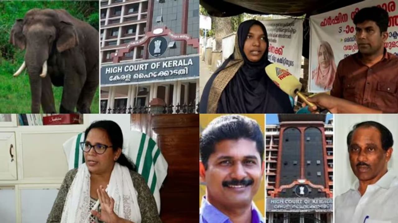 അരിക്കൊമ്പനായി കോടതി, സര്‍ക്കാര്‍ ജനങ്ങൾക്കൊപ്പമെന്ന് മന്ത്രി, കെകെ രമയ്ക്ക് വധഭീഷണി പത്ത് വാര്‍ത്ത