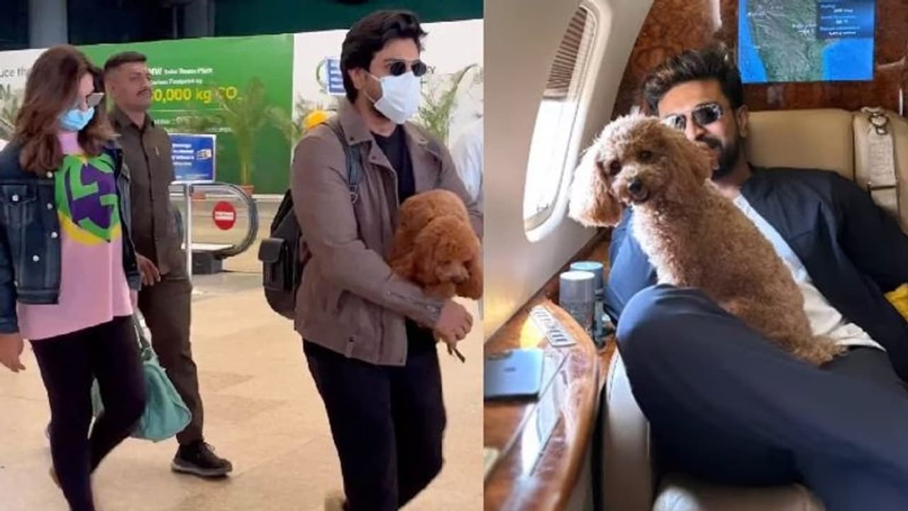 వెకేషన్ కోసం దుబయ్ చెక్కేసిన రామ్ చరణ్ ఉపాసన, వైరల్ అవుతున్నమెగా పవర్ స్టార్ లుక్ వెకేషన్ కోసం దుబయ్ చెక్కేసిన రామ్ చరణ్ ఉపాసన, వైరల్ అవుతున్నమెగా పవర్ స్టార్ లుక్