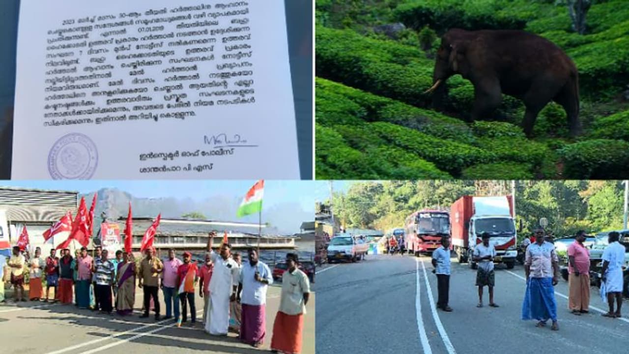 'അരിക്കൊമ്പൻ ഹർത്താൽ നിയമവിരുദ്ധം'; ഹൈക്കോടതി നിർദേശ പ്രകാരം 7 ദിവസം മുമ്പ് നോട്ടീസ് നൽകിയില്ലെന്ന് പൊലീസ് 'അരിക്കൊമ്പൻ ഹർത്താൽ നിയമവിരുദ്ധം'; ഹൈക്കോടതി നിർദേശ പ്രകാരം 7 ദിവസം മുമ്പ് നോട്ടീസ് നൽകിയില്ലെന്ന് പൊലീസ്