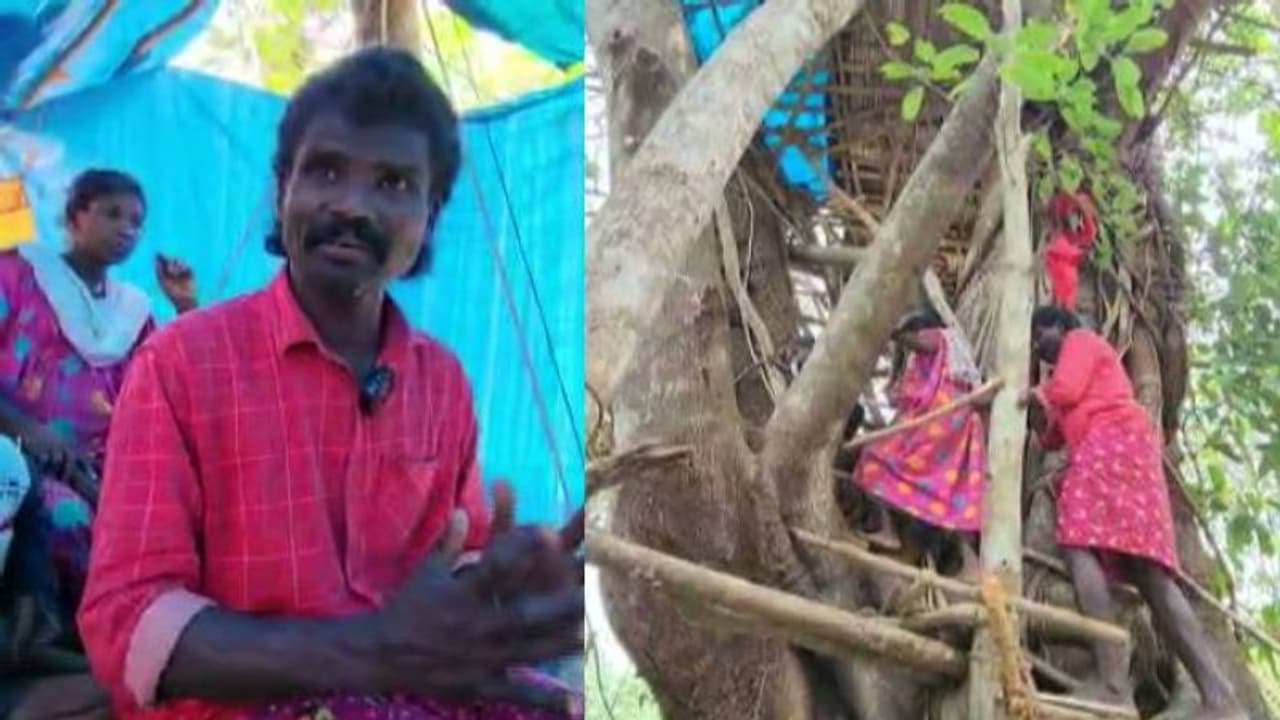 'ജീവനെ പേടിച്ചാ മാടത്തീ കേറി പോണത്', വന്യമൃഗശല്യം കാരണം എട്ട് മാസം ഗർഭിണിയായ പൊന്നമ്മ കഴിയുന്നത് ഏറുമാടത്തിൽ