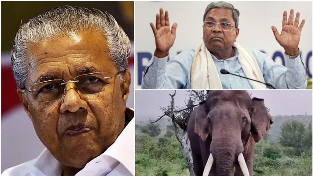 പിണറായിക്ക് നാളെ നിർണായകം, അരിക്കൊമ്പൻ വീണ്ടും, സിദ്ധരാമയ്യക്കെതിരെ വമ്പനെയിറക്കുമോ ഇന്നത്തെ 10 വാര്ത്തകള് പിണറായിക്ക് നാളെ നിർണായകം, അരിക്കൊമ്പൻ വീണ്ടും, സിദ്ധരാമയ്യക്കെതിരെ വമ്പനെയിറക്കുമോ ഇന്നത്തെ 10 വാര്ത്തകള്