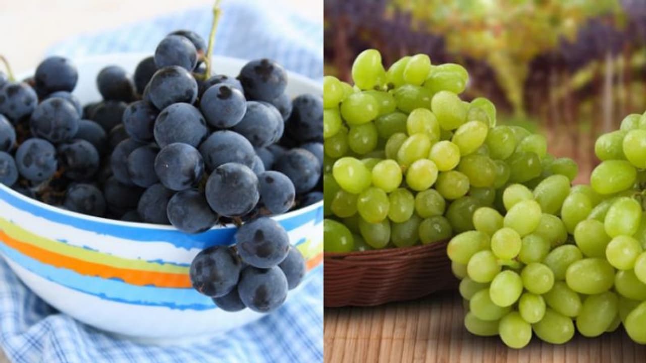 മുന്തിരി ഇഷ്ടപ്പെടുന്നവരാണോ? എങ്കിൽ ഇക്കാര്യം അറിഞ്ഞിരിക്കണം 