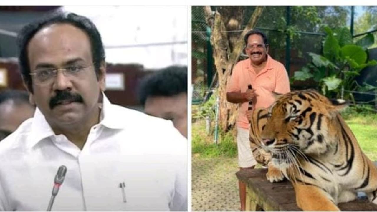 யானை குறித்து சில நோய்ந்த மாடுகள் பேசுகிறது! செல்லூர் ராஜூவுக்கு சரியான பதிலடி கொடுத்த தங்கம் தென்னரசு.!