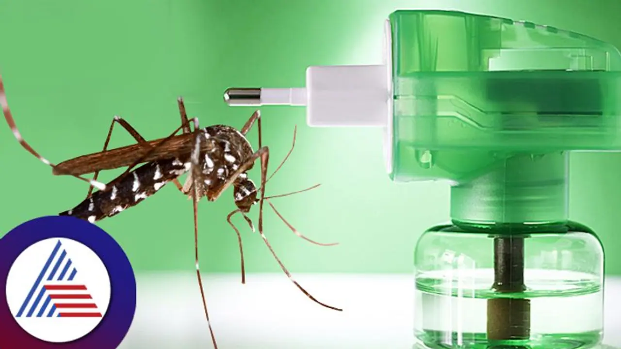 ಒಂದು ಸೊಳ್ಳೆ ಕಾಯಿಲ್ 100 ಸಿಗರೇಟ್ಗಳಷ್ಟು ಡೇಂಜರಸ್! ಒಂದು ಸೊಳ್ಳೆ ಕಾಯಿಲ್ 100 ಸಿಗರೇಟ್ಗಳಷ್ಟು ಡೇಂಜರಸ್!